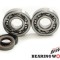 Set rulmenti ambielaj GasGas EC 250 4T 10-12, EC 250F 13 (NTN) BearingWorks CBK25003