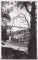 Foto  - 1