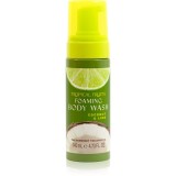 The Somerset Toiletry Co. Tropical Fruits Coconut &amp; Lime spuma de curatare pentru corp 140 ml