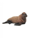 Figurina Pui de Morsa M Collecta