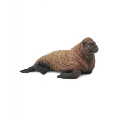 Figurina Pui de Morsa M Collecta