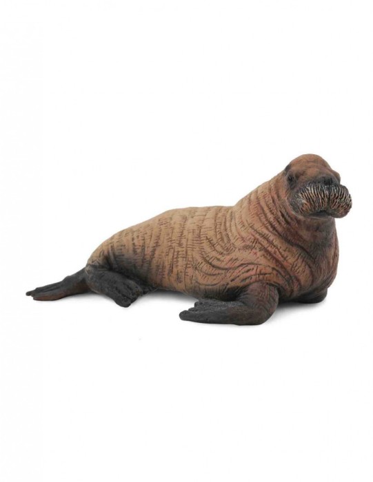 Figurina Pui de Morsa M Collecta