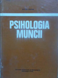 PSIHOLOGIA MUNCII-PETRE PUFAN