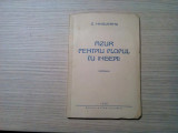AZUR PENTRU PLOPUL CU INGERI - Versuri - D. Hinoveanu - 1938, 78 p.