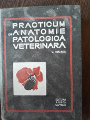 Practicum de anatomie patologica veterinara - V. Ciurea foto