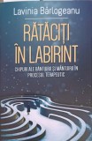 RATACITI IN LABIRINT. CHIPURI ALE BANTUIRII SI MANTUIRII IN PROCESUL TERAPEUTIC-LAVINIA BARLOGEANU-250716
