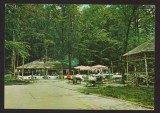 CPIB 22831 - CARTE POSTALA - GOVORA. SATUL DE VACANTA