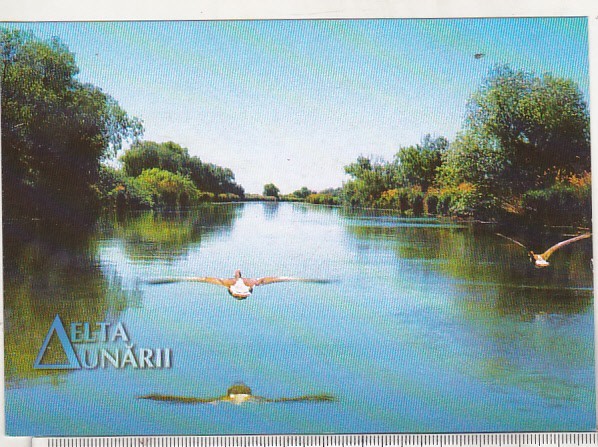 bnk cp Delta Dunarii - Canalul Dunavatu de Jos - necirculata