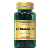 ASTRAGALUS EXTRACT 30CPS