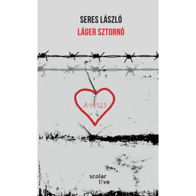 L&amp;aacute;ger sztorn&amp;oacute; - Seres L&amp;aacute;szl&amp;oacute; foto