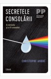 Secretele consolării. A consola și a fi consolat - Christophe Andre