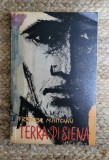 FRANCISC MUNTEANU - TERRA DI SIENA
