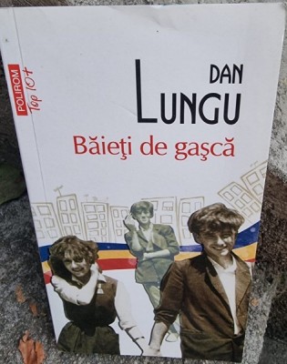 Baieti de gasca - Dan Lungu foto