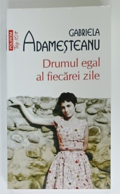 DRUMUL EGAL AL FIECAREI ZILE de GABRIELA ADAMESTEANU , 2021 foto