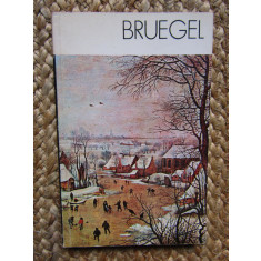 BRUEGEL-MICHAL WALICKI