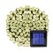 Instalatie solara Warm White, 100 mA, autonomie 6-8 h, 100 x LED, lumina alb calda