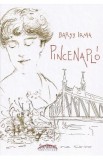 Pincenaplo - Barsy Irma