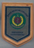 AZ 524 MEDALIE-PLACHETA -MEDICINA MILITARA - COLEGIUL MEDICAL MILITAR -PAKISTAN, Europa