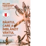 Baiatul care a imblanzit vantul - William Kamkwamba, Bryan Mealer, Iordana Ferent, Stefan Ferent