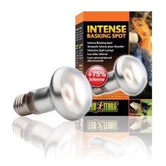 Lampa calorica EXOTERRA INTENSE BASKING SPOT 75W foto