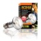 Lampa calorica EXOTERRA INTENSE BASKING SPOT 75W