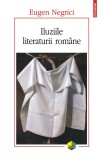 Iluziile literaturii romane - Polirom