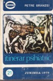 Petre Branzei - Itinerar psihiatric