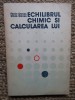Echilibrul Chimic si Calcularea Lui - Florin Danes, Silvia Danes, Editura Tehnica 1983, 291 pagini, Chimie