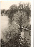 CPIB 18171 CARTE POSTALA - CRAIOVA. LACUL DIN PARCUL POPORULUI, Circulata, Fotografie