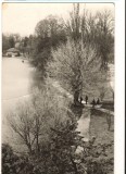 CPIB 18171 CARTE POSTALA - CRAIOVA. LACUL DIN PARCUL POPORULUI, Circulata, Fotografie