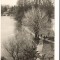 CPIB 18171 CARTE POSTALA - CRAIOVA. LACUL DIN PARCUL POPORULUI