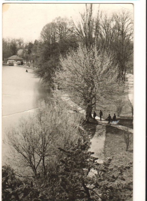 CPIB 18171 CARTE POSTALA - CRAIOVA. LACUL DIN PARCUL POPORULUI
