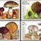 MOLDOVA 2007, Ciuperci, serie neuzata, MNH