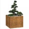 vidaXL Jardinieră Rusty 100x100x80 cm Oțel pentru intemperii 860828