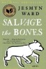Salvage the Bones