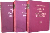 ATLAS DE ANATOMIA HUMANA (TEXT IN LIMBA SPANIOLA) 3 VOLUME - R.D. SINELNIKOV