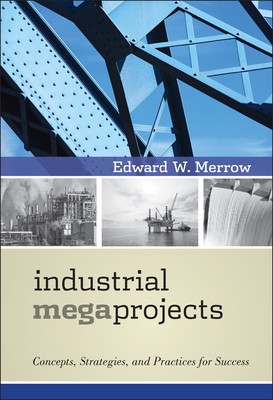 Industrial Megaprojects: Concepts, Strategies, and Practices for Success foto