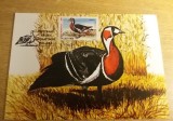 C12 - maxima Romania - tematica pasari 3 - prima zi a emisiunii sau expozitii, Romania de la 1950, Fauna