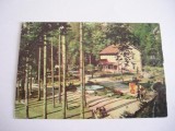 QW23 B - Carte postala - tematica turism - vedere - Romania - Baile Moneasa 2, Circulata, Fotografie, Arad