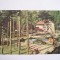 QW23 B - Carte postala - tematica turism - vedere - Romania - Baile Moneasa 2