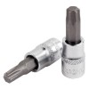 Torx Nuss, Torx Stecknuss, 1/2 Zoll T20, CrV, kurze Ausf&uuml;hrung