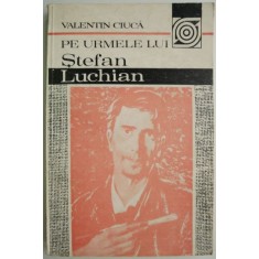 Pe urmele lui Stefan Luchian &ndash; Valentin Ciuca