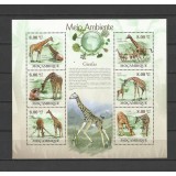 MOZAMBIC 2010 FAUNA ANIMALE SALBATICE GIRAFE