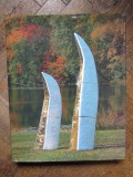 PATRICIU MATEESCU 2016 TEXT SONIA COMAN ALBUM SCULPTURA