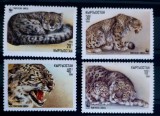 Kyrgyzstan 1994 animale sălbatice pantere WWF fauna serie 4v. Neștampilată, Nestampilat
