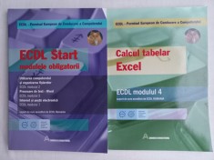 ECDL START: MODULELE OBLIGATORII: MODULELE 2+ 3+ 7+ CALCUL TABELAR: EXCEL foto