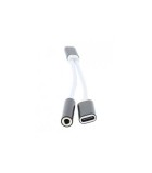 Adaptor USB Type C tata - jack 3.5 mm mama si USB Type C mama 13cm, Well