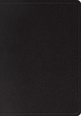 ESV Large Print Wide Margin Bible (Black) foto