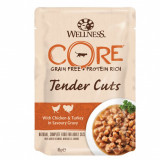 Wellness CORE Tender Cuts pui &amp;amp; curcan 85 g