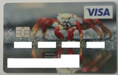 Card bancar ING BANK ANIMAL FAUNA foto